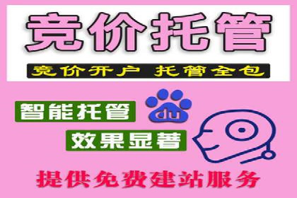 竞价排名案例：跨平台推广效果分析